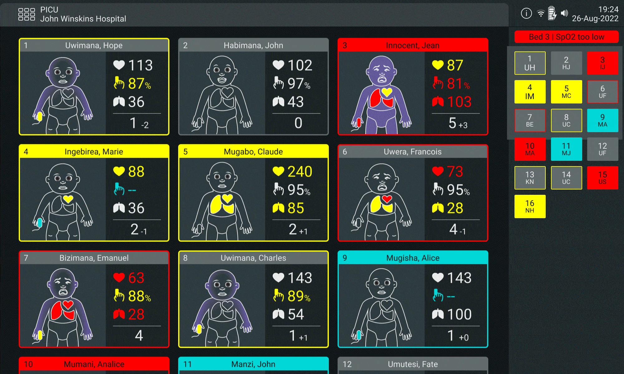 Central Patient Overview showing patient risk stratification and prioritization across the ward.